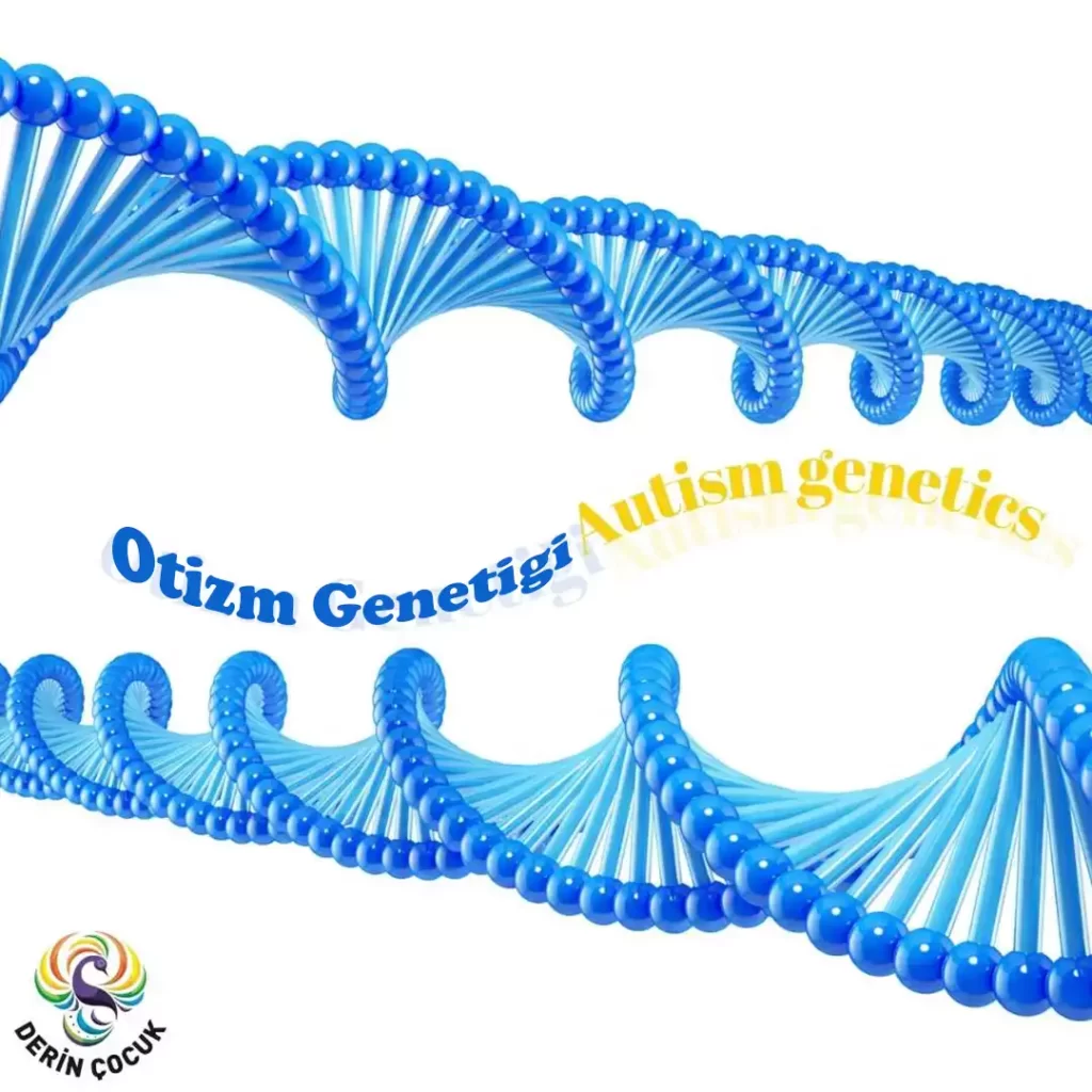 Otizm genetik faktorleri kardeslerde