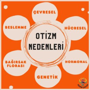 Derin Çocuk Okul Öncesi Otizm Disleksi DEHB Hiperaktivite Dil Konuşma Ergoterapi Hidroterapi Merkezi 28 Otizmin nedenleri, çevresel, genetik, hücresel, hormonal, bağırsak florası, beslenme diyet
