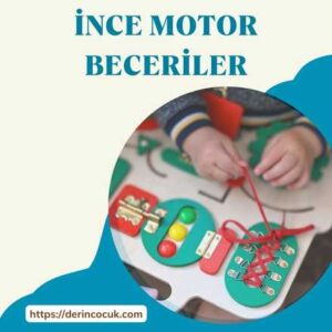 İnce motor beceriler, cizim, el goz koordinasyonu, Proprioseptif vücut farkındalığı, Taktil, Vestibuler sistem