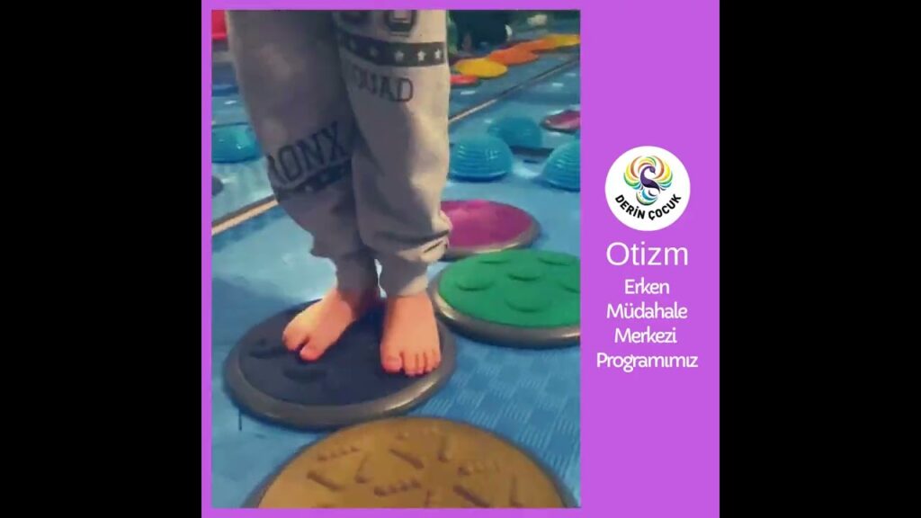 Otizm Erken Müdahale Programı